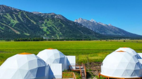 Tammah Jackson Hole Wilson